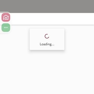 The Limited Leather Belt Braided Brown Silver Buckle Ladies Size M 28.5-31.5 in